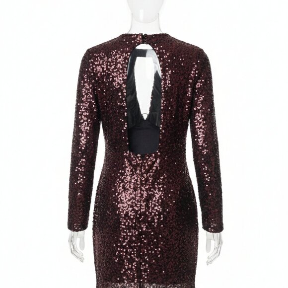 Burgundy Sequin Mini Dress - Picture 3 of 3